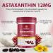Echoes of the spring Astaxanthin 12mg 4 Month Supply Natural Astaxanthin Antioxidant Supplements from Fresh Microalgae Triple Strength Supports Eye Immune Joint Skin Health 120 Softgels - Buy Online on GoSupps.com