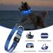 MASBRILL Light Up Dog Collar USB Rechargeable & Waterproof - Blue LED Collar for Small Medium Large Dogs - 3 Flashing Modes, Adjustable Size (M 38-50cm) - Super Bright Visibility in the Dark - Buy Online on GoSupps.com