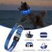 Masbrill Luminous LED Dog Collar - Waterproof & Adjustable Safety Band with 3 Flashing Lights for Small to Large Dogs (Blue XS 25-35cm) - Buy Online on GoSupps.com