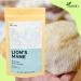 100% Lion's Mane Mushroom Extract Powder - Pure & Additive-Free - 3.52 Oz - Buy Online on GoSupps.com