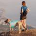Hjyokuso Dog Cooling Vest - Summer Cooling Jacket for Small Medium & Large Dogs | Perfect for Outdoor Activities & Training | L Blue - Buy Online on GoSupps.com
