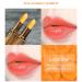 Buy 2 PCS Color Changing Lipstick - Carrot & Cherry Waterproof Lip Balm | Long Lasting PH Temperature Color Change for Chapped & Darkened Lips - Buy Online on GoSupps.com