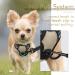 Rabbitgoo No-Pull Dog Harness for Small Dogs Adjustable Breathable Design Safe Control XS Size Ideal for Training & Comfort - Buy Online on GoSupps.com