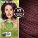 Naturtint Permanent Hair Colorant, 4M Mahogany Chestnut, 5.6 fl oz (165 ml)