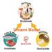 Forest-Grown Japanese Shiitake Powder 40g - Natural Umami Booster - Buy Online on GoSupps.com