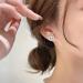 Feyley Magnetic Clip-On Earrings for Women & Girls | Round Pickled Zircon Fashionable Silver Earrings - Buy Online on GoSupps.com