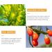  Mnozreo Nourishing Daily Care Serum Turmeric Facial Oil Anti-Spot Face Serum Brightening Serum Kojic Acid Dark Spot Corrector 30ml 1pc - Buy Online on GoSupps.com