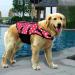 Dog Life Jacket - XL Red Dot Swimming Vest for Small & Large Dogs | Safety Coat with Grip for Swimming & Lifeguarding - Buy Online on GoSupps.com