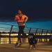 Hands Free Dog Lead with Fanny Pack for Walking Jogging Running Durable Dog Lead for Medium Large Dogs Retractable Bungee Lead Running Dog Lead with Reflective Stitches Seat Belt Buckle - Buy Online on GoSupps.com