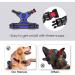 Phoepet No Pull Dog Harness for Small Dogs - Reflective Adjustable Vest with Front Clip & Handle - Easy On/Off - XL Royal Blue - Buy Online on GoSupps.com