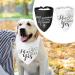 WLLHYF My Humans are Getting Married She Said Yes Dog Bandana Pets Scarf Triangle Bibs Kerchief Set Wedding Photo Prop Decoration Pet Costume Accessories for Dog Lovers Small Medium Large Dogs Cats - Buy Online on GoSupps.com