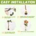 3-Piece Round Gold Floral Arranger Pins for Flower Arrangement & Plant Fixation - Buy Online on GoSupps.com