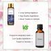 Purify Your Space with PHATOIL Grape Fragrance Oil - 10ml for Aromatherapy, Soap & Candle Making - Buy Online on GoSupps.com