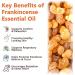 Premium Frankincense Essential Oil for Skin Face Body Wrinkles Scars Therapeutic Grade 100% Natural Pure Frankincense Oil for Face Diffuser Aromatherapy Bath Deeply Nourishing Body Massage Oil 60ml - Buy Online on GoSupps.com