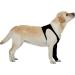 Suitical Recovery Sleeve for Dogs - Size M Black | Perfect Post-Surgery Solution - Shop Internationally! - Buy Online on GoSupps.com