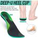 Plantar Fasciitis Insoles for Men & Women | High Arch Support Orthotics - Pain Relief for Work Boots & Shoes (M 8-9.5/W 9-10.5 - Buy Online on GoSupps.com