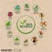 Max Adaptogen 10 | Ayurvedic Herbs with Ashwagandha, Bacopa, Holy Basil & More | 60 Capsules - Buy Online on GoSupps.com