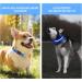 LED Luminous Dog Collar - Waterproof 7 Color Change Adjustable Light for Night Safety - Fits Small Medium Large Dogs (Blue 48-60cm) - Buy Online on GoSupps.com