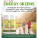 IVL - All Day Energy Greens - Supplement Powder Mix Drink Greens Powder Superfood - Super Greens Blend for Optimal Nutrition Energy & Digestion Green Juice Superfood Boost Original Flavor - Buy Online on GoSupps.com