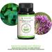 PHYNATUX - SOOTHES THE RESPIRATORY TRACT: THYME AND CLIMBING IVY - 30 VEGETABLE CAPSULES - 100% NATURAL - MADE IN FRANCE - Buy Online on GoSupps.com