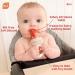 RaZbaby Baby Solids/Frozen Fruit Feeder Pacifier 2-Pack | BPA-Free Silicone Teether Toy for Infants 6M+ | Safe Introduction to Solids & Teething Relief | Dishwasher Safe | Orange/Blue + Green/Blue - Buy Online on GoSupps.com