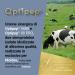  NET INTEGRATORI FARMACIA ISOLATE PRO Grass Fed - 700g Vanilla - Isolated Proteins with EAA Essential Amino Acids and BCAAs - Maximises Protein Synthesis and Muscle Growth - Buy Online on GoSupps.com