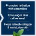 Life Extension Skin Care Day Cream - Retinyl Palmitate Ceramides & Shea Butter for Collagen & Moisture - 1.65 oz - Buy Online on GoSupps.com