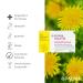 Padma Galetb 60 Kaps - Vegan Bitter & Herb Supplement with Artichoke & Dandelion | Zinc for Fatty Acid & Macronutrient Metabolism - Buy Online on GoSupps.com