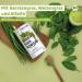 Buy Bio Green Bowl Smoothie Powder - German Superfood Blend with Barley Grass Wheat Grass & Alfalfa | 200g - International Shipping - Buy Online on GoSupps.com