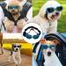 Buy Waterproof UV Protection Sunglasses for Dogs | Anti-UV Dog Glasses for Small & Medium Breeds - Buy Online on GoSupps.com