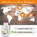 Plan te au Naturel Organic Turmeric and Black Pepper 300mg - 200 Vegetable Capsules - Buy Online on GoSupps.com
