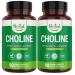 Nested Naturals Choline Bitartrate 500mg - High Potency Choline Supplements - Supports Maternal & Fetal Health During Pregnancy* - 100% Vegan & Non-GMO - 2-Pack (180 Vegan Capsules) 90 Count (Pack of 2)