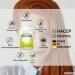 Buy NEW Liver Complex - 15 Active Ingredients | 120 Capsules | Made in Germany - Optimized for Liver Health - Buy Online on GoSupps.com