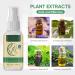 Shoe Deodorant & Foot Spray - Eliminates Odor Fast | Long-Lasting Freshness for Feet & Shoes - Buy Online on GoSupps.com