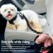 Quelcc Adjustable Dog Seat Belt - Universal Car Safety Belt for All Dog Breeds with Elastic & Strong Carabiners - Buy Online on GoSupps.com