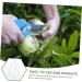KONTONTY 3pcs Vegetable Small Mould Growth Forming Ginseng Small Fruit Plastic Gourd - Buy Online on GoSupps.com