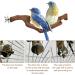 Natural Wood Bird Ropes Set - 5 Piece T-Shape Seating for Nymphic Canaries & Cage Accessories - Buy Online on GoSupps.com