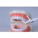 cleanpik toothpick 50 / pack 3 box dental floss teeth clean teeth gum floss - Buy Online on GoSupps.com