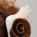 bephible Non-slip Hair Accessory Trendy Clip Snail-shaped Claw Animal Shape Metal Spring Acetic Acid Back Head 1pc - Buy Online on GoSupps.com