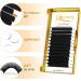 QUEWEL Easy Fan Russian Lashes 2D-20D Volume | 0.12C Curl 14mm Easy Fan Lash Extensions - Buy Online on GoSupps.com
