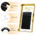 QUEWEL Volume Eyelash Extensions - Easy Fan 2D-20D | C/CC/D/DD Curl | 0.03-0.12mm | 8-25mm Length | Long Lasting Blooming Lashes - Buy Online on GoSupps.com