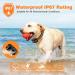 Wizco Dog Collar - 3300Ft Dog Training Collar with Remote for 5-120lbs Small Medium Large Dogs Rechargeable Waterproof e Collar with Beep (1-8) Vibration(1-16) (Orange) - Buy Online on GoSupps.com