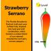Fat Cat Strawberry Sauce - Buy Online on GoSupps.com