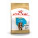 Royal Canin Dog Food Cocker Puppy Complete 3KG