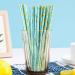 Disposable Paper Straw degradable Paper Straw Party Straw Bronzing Series 100 pcs Heavy cord 0.6*19.7cm - Buy Online on GoSupps.com