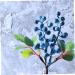 ABOOFAN 3pcs Christmas Stem Berries Artificial Branches Christmas Floral Stems Picks Christmas Flower Stems Picks Fake Berry Branches Christmas Berry Stems Faux Berry Picks Display Fruit - Buy Online on GoSupps.com
