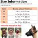 Heele Adjustable Nylon Dog Muzzle - Breathable Safe & Fast for Small to Medium Dogs | XL Orange - Prevents Biting Chewing & Barking - Buy Online on GoSupps.com