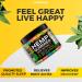 Vitamax Natural Hemp Gummies - 100ct Sugar Bears for Rest & Relaxation - Made in USA - Calming, Assorted Fruit Flavors - Buy Online on GoSupps.com