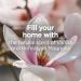 Botanica by Air Wick Plug in Scented Oil Starter Kit 1 Warmer + 1 Refill Himalayan Magnolia and Vanilla Air Freshener Essential Oils - Buy Online on GoSupps.com