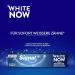 Signal Toothpaste White Now - 3x Whiter Teeth & Long-Term Whitening Effect | Daily Dental Care 75ml - Buy Online on GoSupps.com
